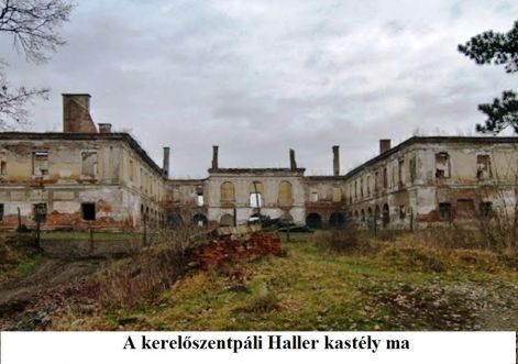 x11.kerelosztpal.jpg