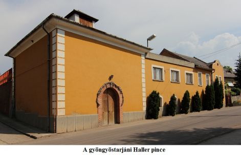 x21._haller_pince_gyongyostarjan.jpg