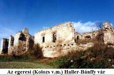 x29.egeres.jpg